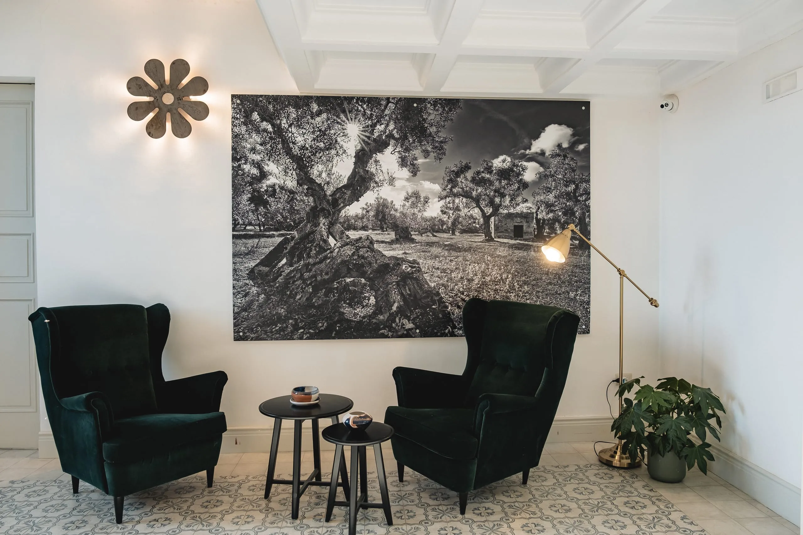 Una sala comune del Palazzo: due poltrone di velluto verde scuro e due tavolini sotto la grande fotografia in bianco e nero di un uliveto, l’applique a fiore accesa, la lampada d’ottone e il pavimento a cementine.